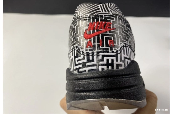 Tokyo Max Air 1 Nike Maze CI1505-001 0302